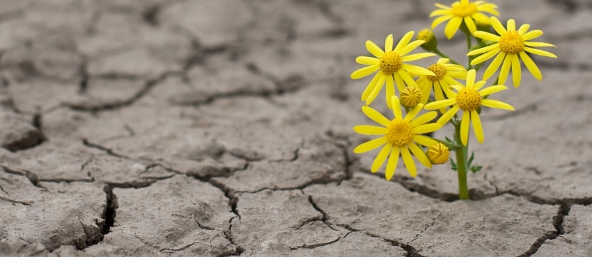 Resiliência, tá bom já sei o que é, mas como praticar?